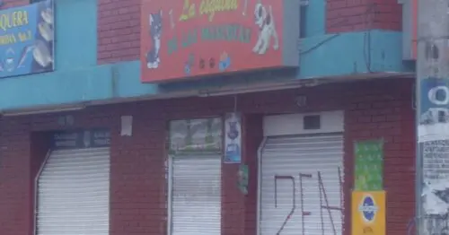 LA ESQUINA DE LAS MASCOTAS BOGOTÁ LA ESQUINA DE LAS MASCOTAS BOGOTÁ